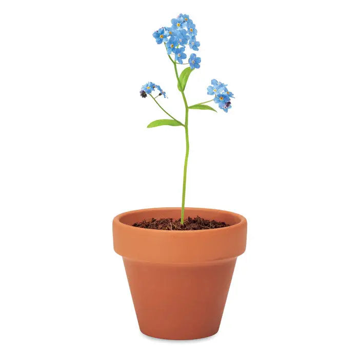 Ghiveci de teracota cu un singur tulpină de flori albastre artificiale nu mă uita și frunze verzi
