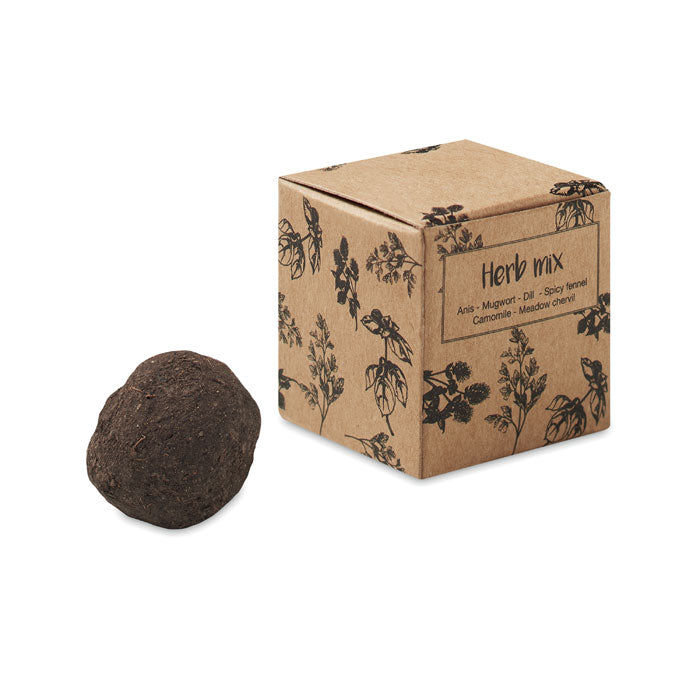 Bomba cu seminte de ierburi in cutie de carton