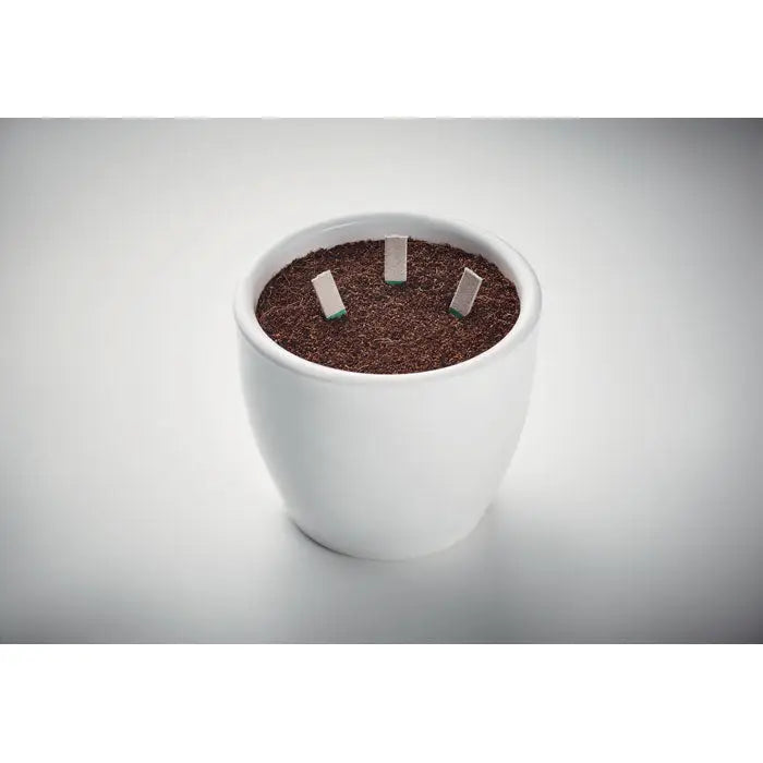 Ghiveci alb ceramic umplut cu sol maro inchis si betisoare de seminte de ierburi mici dreptunghiulare