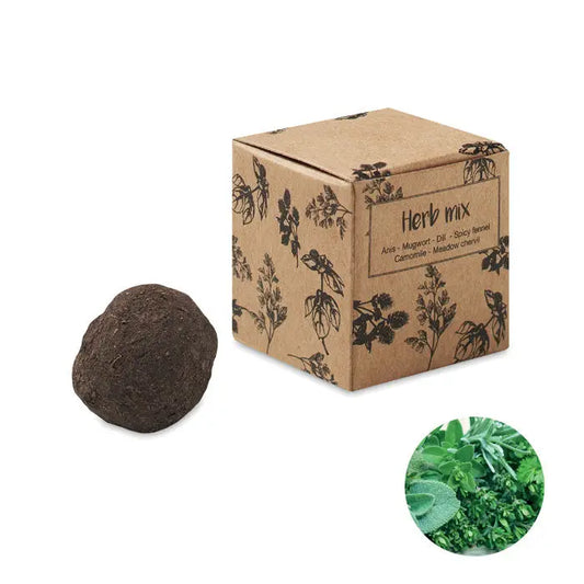 Bomba cu seminte de ierburi maro inchis rotunda langa cutie rupta kraft etichetata mix de ierburi cu ilustratii botanice