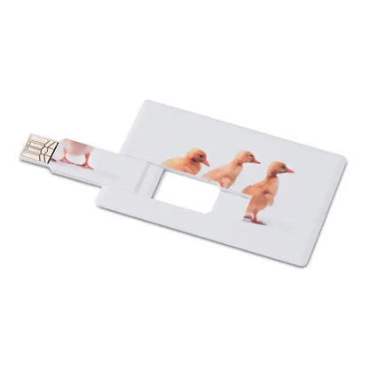 Card de credit usb flash alb de 16 gb cu imagine imprimata a trei ratuste portocalii aliniate