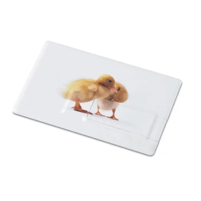 Card de credit alb cu imagine imprimata cu doua ratuste pufoase galbene si usb flash de 32 gb