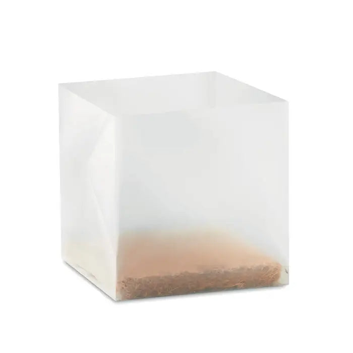 Plantară pătrată transparentă din plastic cu sol maro pentru compost cu semințe busuocol
