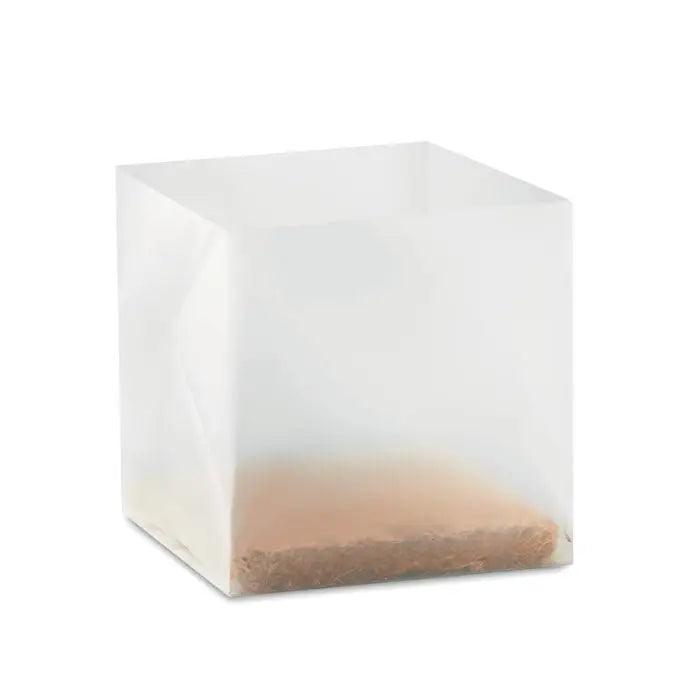 Recipient transparent din plastic cu bază maro texturată pentru compost cu semințe pătrunjel