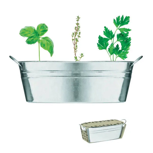 Rectangular metal zinc planter with two handles containing three types of fresh green herbs for planting