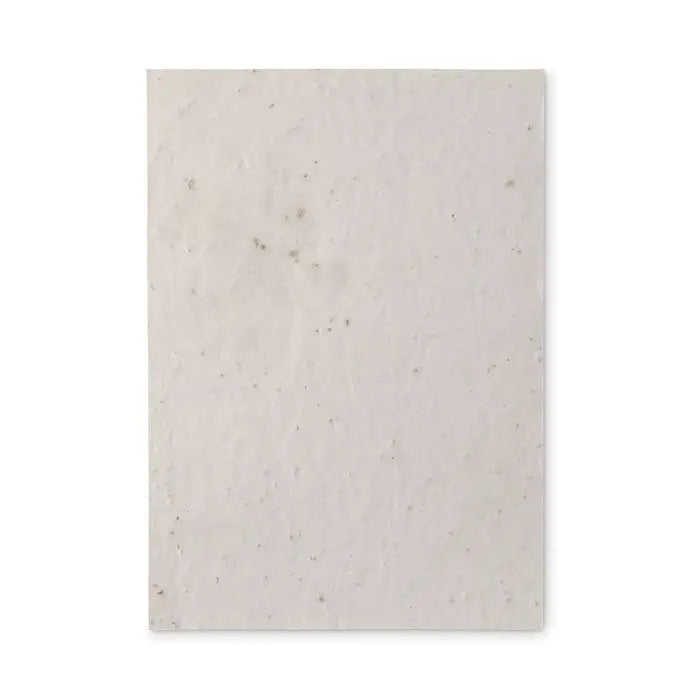 Foaie de hartie a5 cu seminte de flori salbatice, color off-white, textura si model discret pete