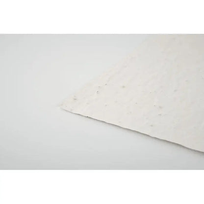 Foaie de hartie a6 cu seminte de flori salbatice texturata, de culoare off-white cu margini usor neregulate