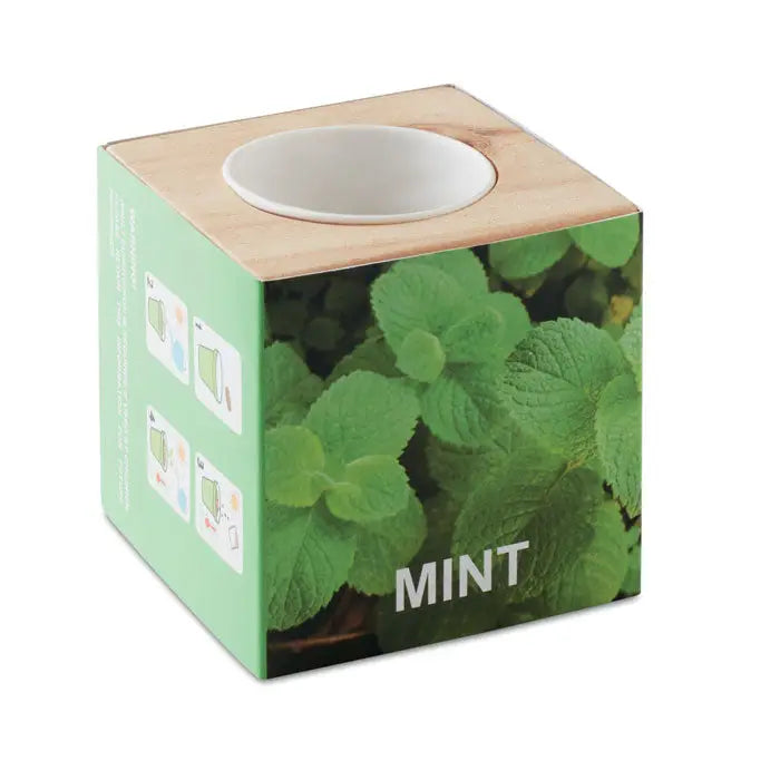 Ghiveci cu ierburi din lemn menta cub verde deschis cu insertie ceramica alba pentru plante aromatice