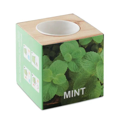 Ghiveci cu ierburi din lemn menta cub verde deschis cu insertie ceramica alba pentru plante aromatice