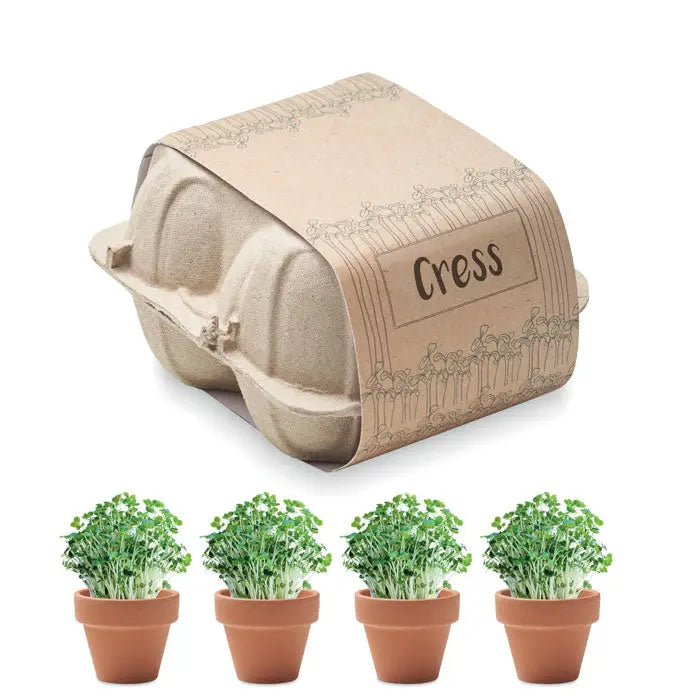 Kit de crestere a cartonului de oua cu suport beige din carton pentru patru ghivece mici de teracota cu seminte de cress