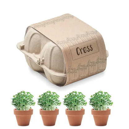 Kit de crestere a cartonului de oua cu suport beige din carton pentru patru ghivece mici de teracota cu seminte de cress