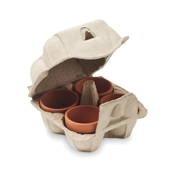Set de creștere a cartonului de oua cu patru ghivece de teracotă în culoare naturală în cutie din carton bej
