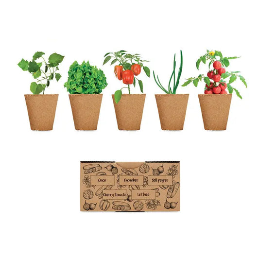 Kit de cultivare a salatei cu cinci ghivece maro din plută fiecare cu legume verzi sau fructe diferite