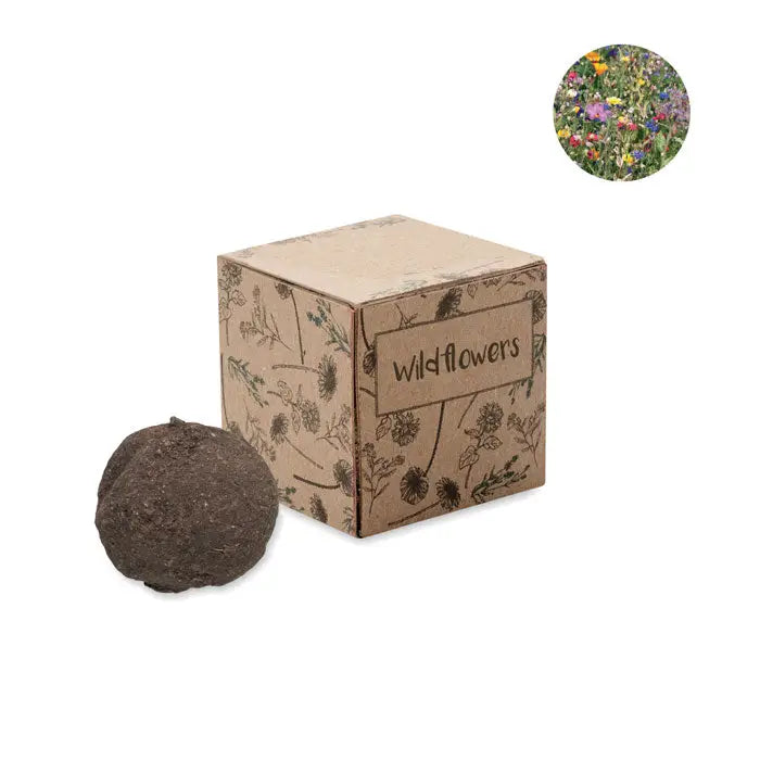 Kit de cultivare cu bombe de seminte cu bila rotunda maro inchis si ambalaj din carton cu ilustratii botanice