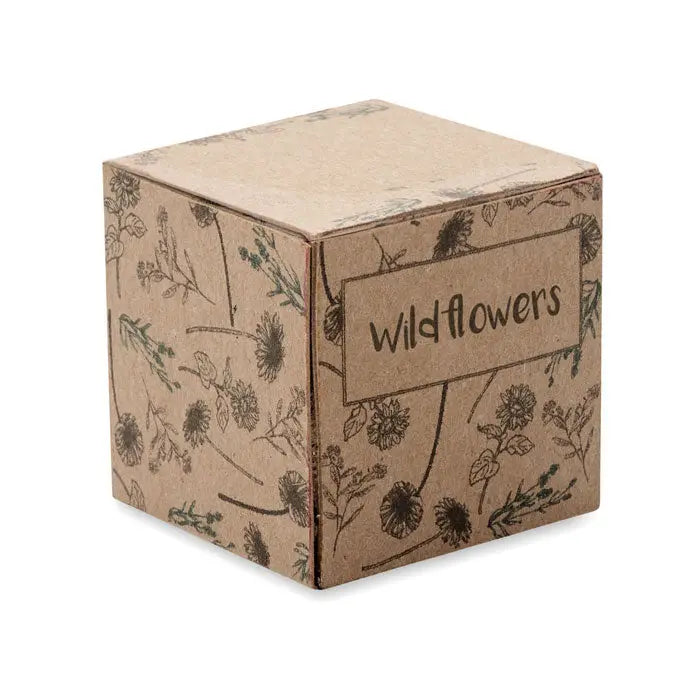 Kit de cultivare cu bombe de seminte în cutie maro din carton cu ilustrații delicate de flori sălbatice