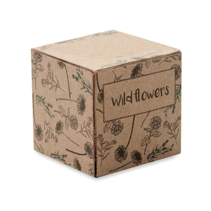 Kit de cultivare cu bombe de seminte în cutie maro din carton cu ilustrații delicate de flori sălbatice