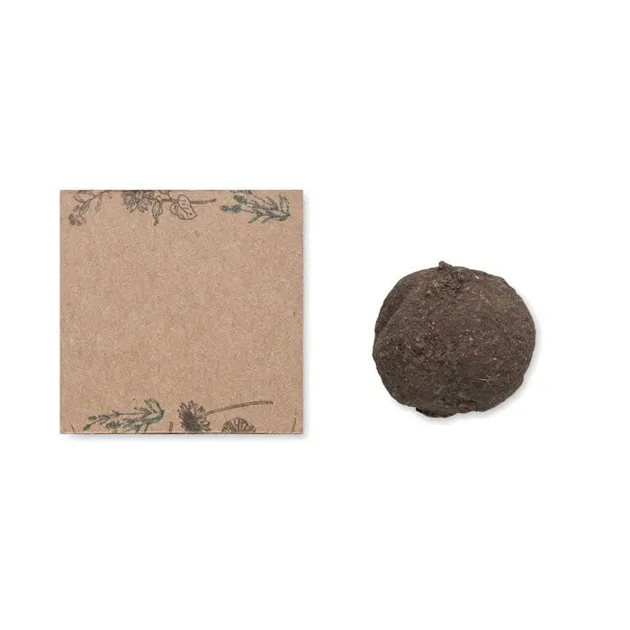 Kit de cultivare cu bombe de seminte cu pachet maro din hartie si bila de sol rotunda maro inchis alaturi