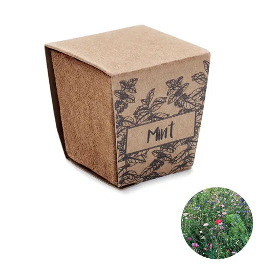 Kit de cultivare cu seminte de menta in cutie din hartie kraft maro cu ilustratii botanice negre si eticheta mint