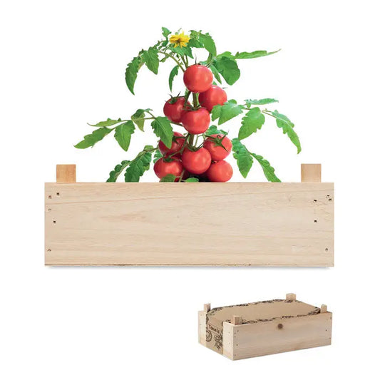 Kit rosii in lada de lemn cu ladita din lemn deschis si rosii rosii cu frunze verzi crescand deasupra