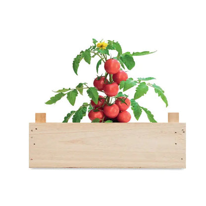 Kit rosii in lada de lemn cu planta de rosii rosie vibranta, frunze verzi si floare galbena, intr-o ladita usoara de lemn