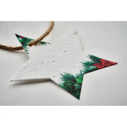 Ornament de craciun din hartie cu seminte alb in forma de stea cu design verde de brad si bobite rosii legat cu sfoara naturala