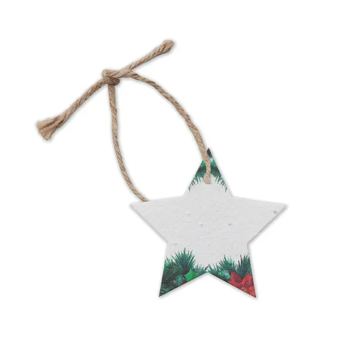 Ornament de craciun alb in forma de stea cu design festiv verde si rosu din hartie cu seminte agatata in snur natural