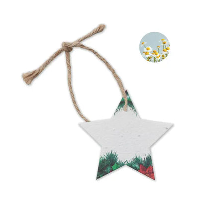 Ornament de craciun stelat alb din hartie cu seminte cu snur natural si design cu ace de pin, fructe rosii si margarete