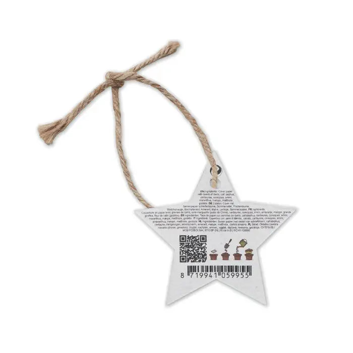 Ornament de craciun din hartie alba in forma de stea cu seminte si snur natural pentru agatat