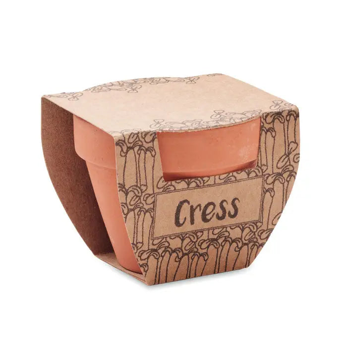 Seminte de creson in ghiveci ceramic teracota ambalat elegant in hartie maro decorativa