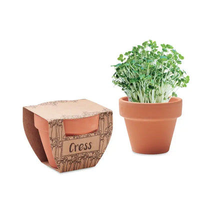 Un ghiveci de teracota plin cu seminte de creson verde vibrant pentru cultivare usoara acasa