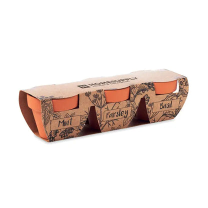 Set de 3 ghivece din teracota portocalii in ambalaj de carton cu etichete pentru plante