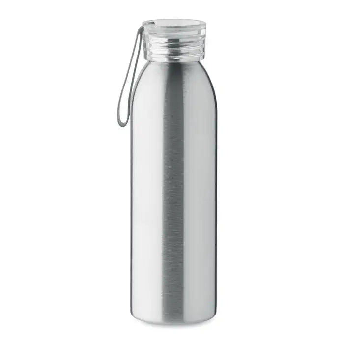 Sticla din otel inoxidabil 650ml cu capac transparent si maner gri din otel periat elegant