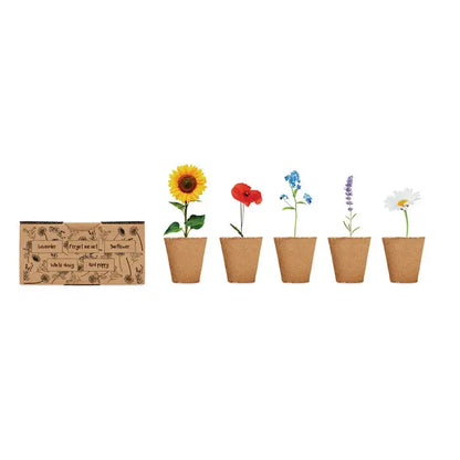 Trusa de crestere a florilor cu cinci ghivece decorative din plută maro cu floarea soarelui, mac, clopoței, lavandă și margaretă