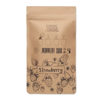 Trusa de cultivare a capsunilor cu sac din hartie maro decorat cu capsuni desenate in linii negre si text simplu strawberry